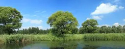 綠色產(chǎn)品認(rèn)證，人造板、衛(wèi)生陶瓷、家具、建材、快遞包裝等認(rèn)證